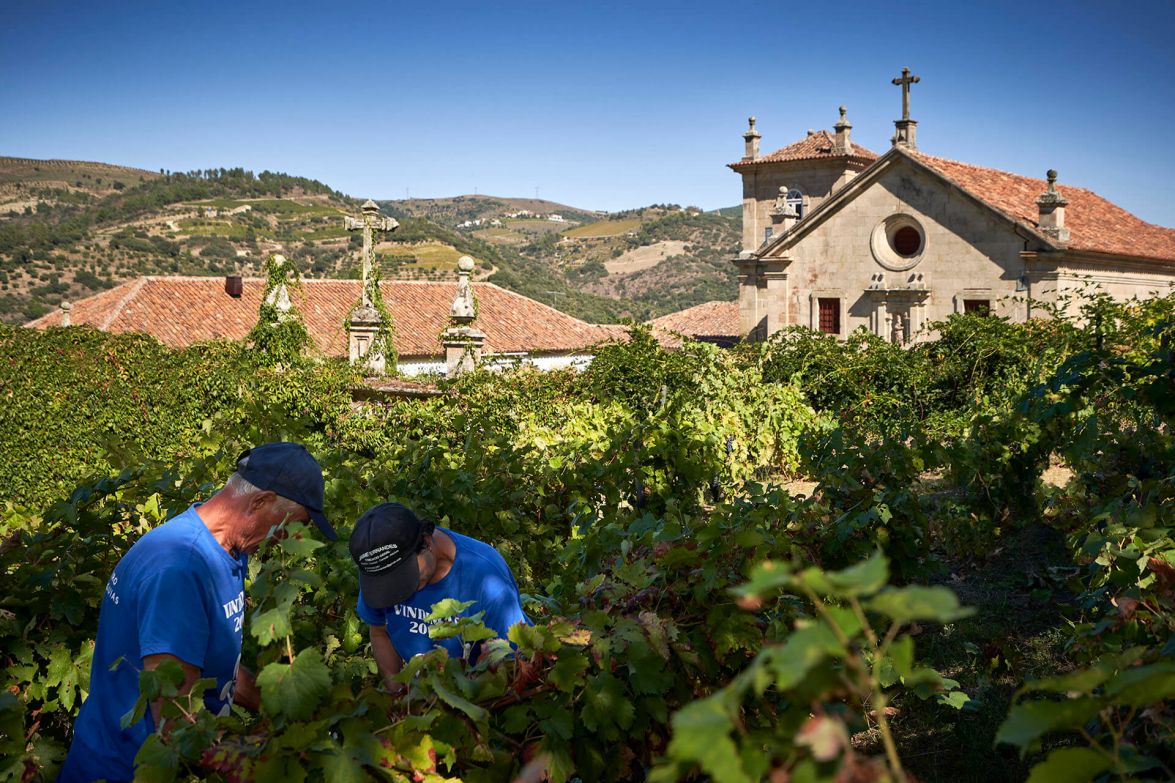 Vinhos do douro