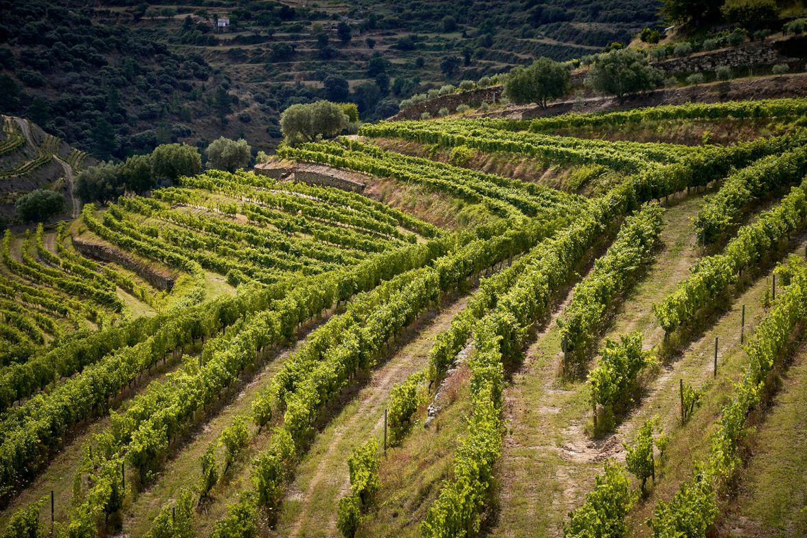 Tavora Valley