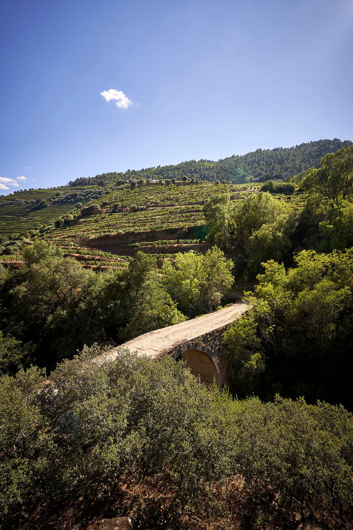 Douro Valley