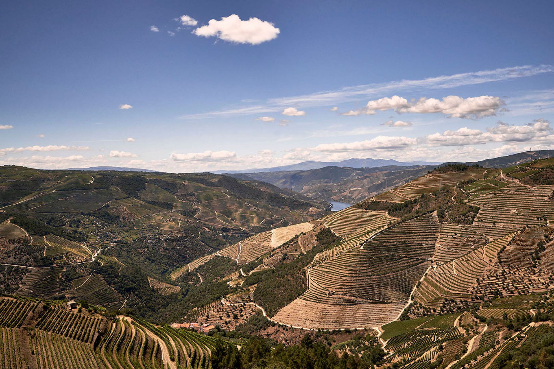 Douro Valley