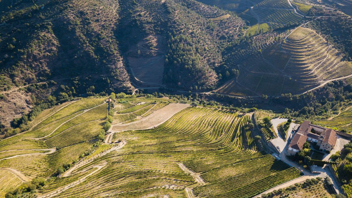 Douro Valley