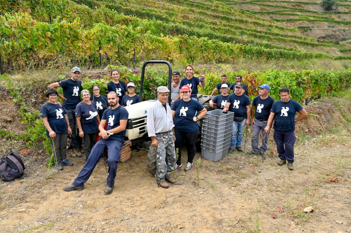 Equipa de vindima